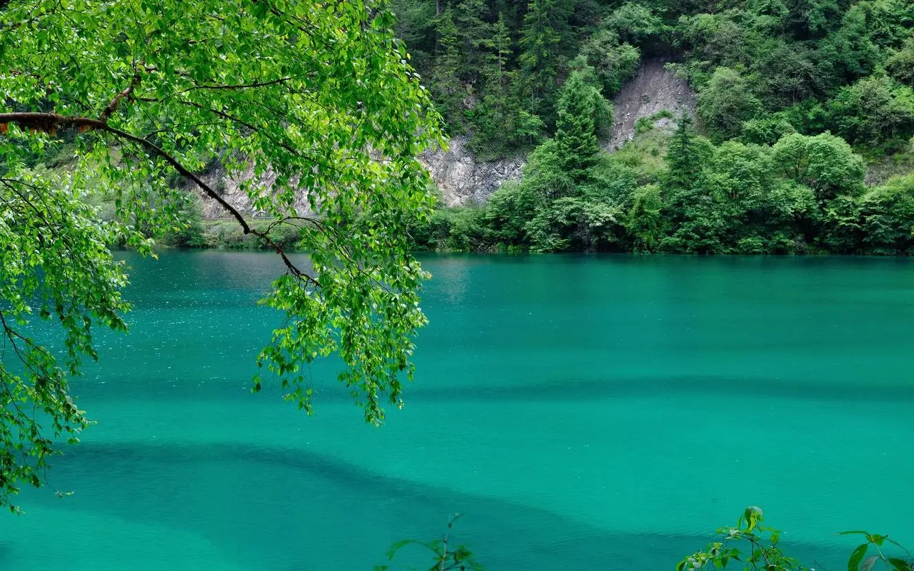 高性能高效